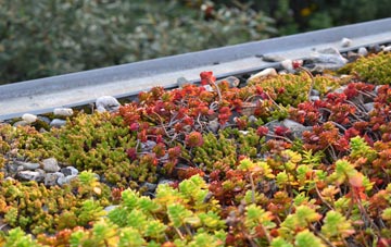the cost of Borestone green roof installation