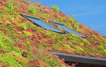 Borestone living roof systems