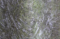 Borestone fibreglass roof work