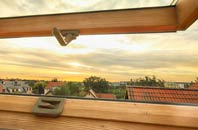 rated Borestone roof window companies